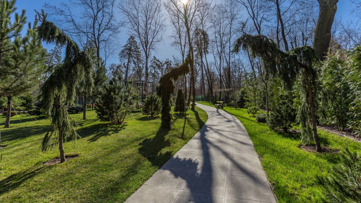 Загородный корпоратив в Маяк Резорт Пуща-Водица